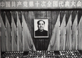 中国共产党第十次全国代表大会简介